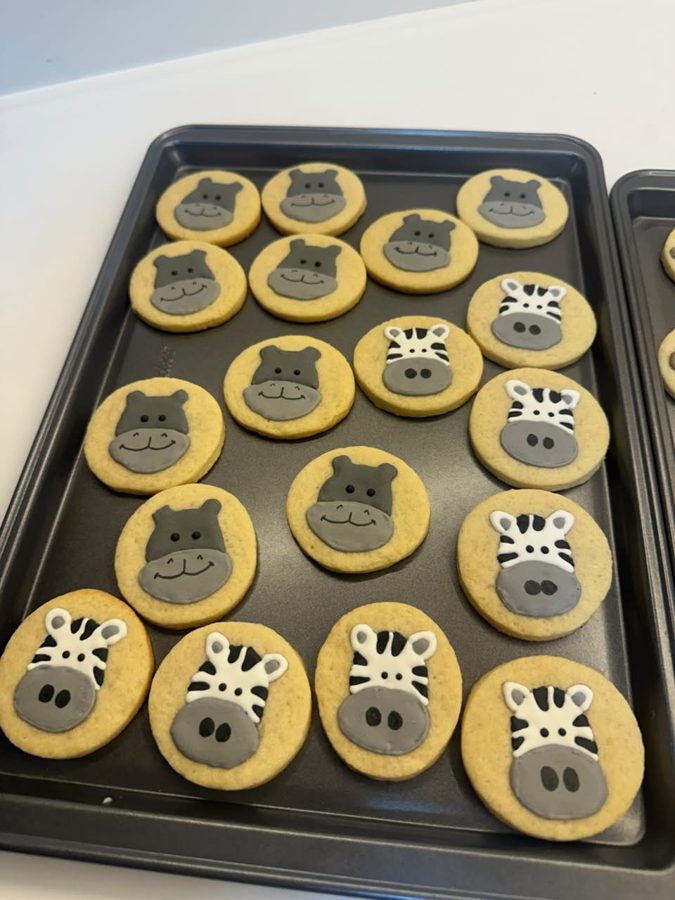 Galletas decoradas con caritas de hipopótamo y cebra